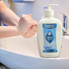 Handwash Liquid 250ml