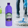 Phenyl Sanitizer