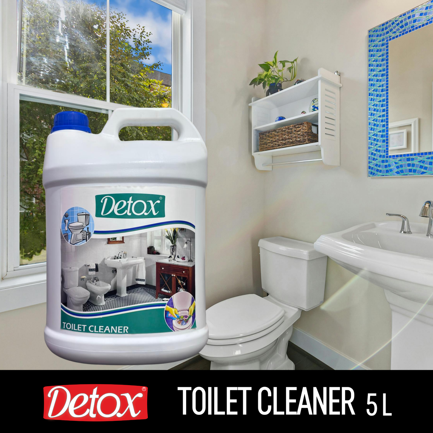 Toilet cleaner 5L
